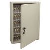 Picture of Kidde AccessPoint 001796 TouchPoint 60-Key Cabinet, Clay