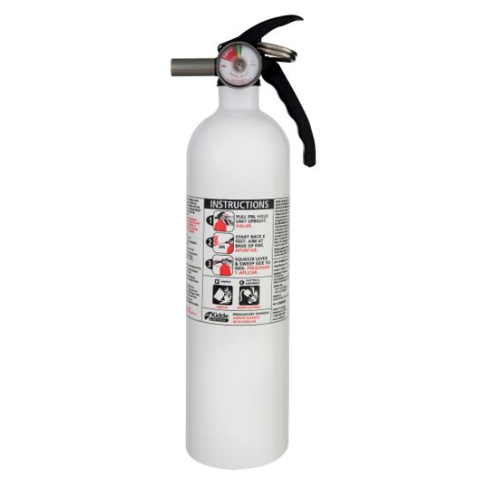 Picture of FX10K Kitchen Fire Extinguisher