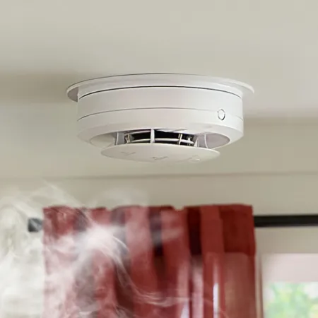 Picture for category Smoke Alarms